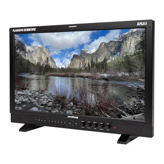 Flanders Scientific DM211 Reference Monitor, image 1 of 1