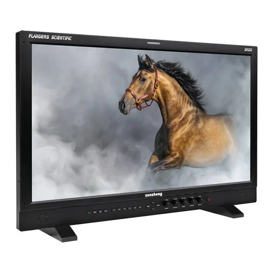 Flanders Scientific DM231 Reference Monitor, image 1 of 1